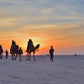 Rann of Kutch White Desert Escape – Magical Gujarat Experience