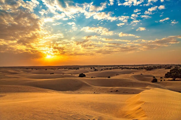 Jaisalmer Desert Escape – Royal Experience