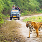 Jim Corbett Jungle Escape – Wildlife Adventure Tour