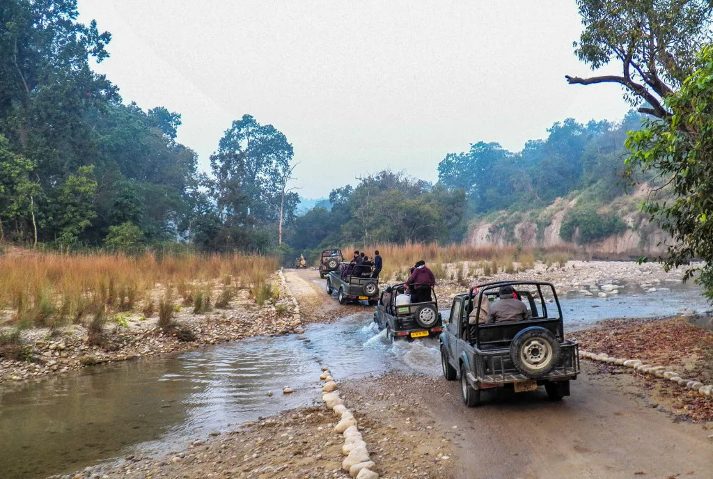 Jim Corbett Jungle Escape – Wildlife Adventure Tour