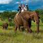 Jim Corbett Jungle Escape – Wildlife Adventure Tour
