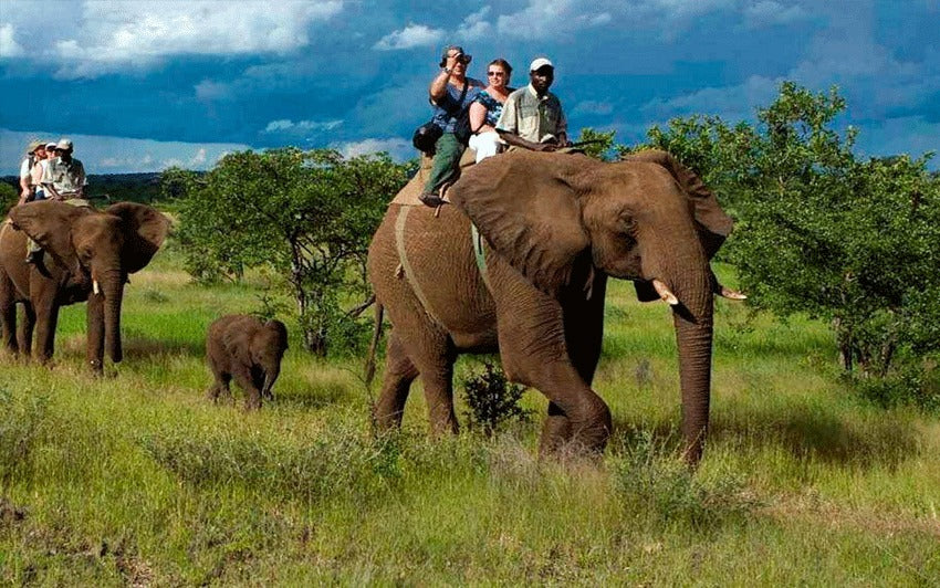 Jim Corbett Jungle Escape – Wildlife Adventure Tour