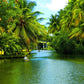 Kerala Backwaters & Hills Escape – God’s Own Country Tour