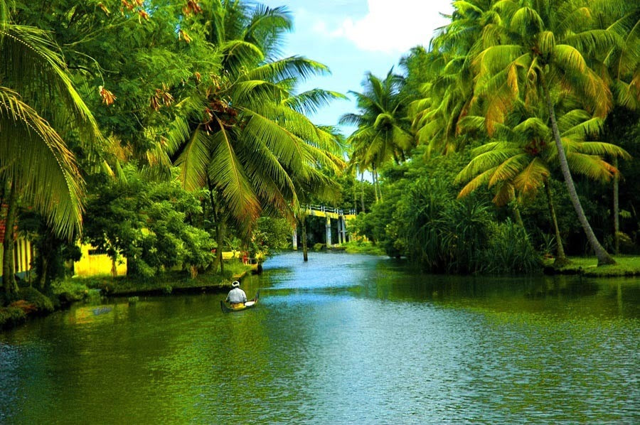 Kerala Backwaters & Hills Escape – God’s Own Country Tour